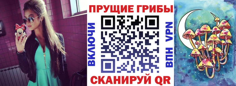 Псилоцибиновые грибы MAGIC MUSHROOMS  Кыштым 